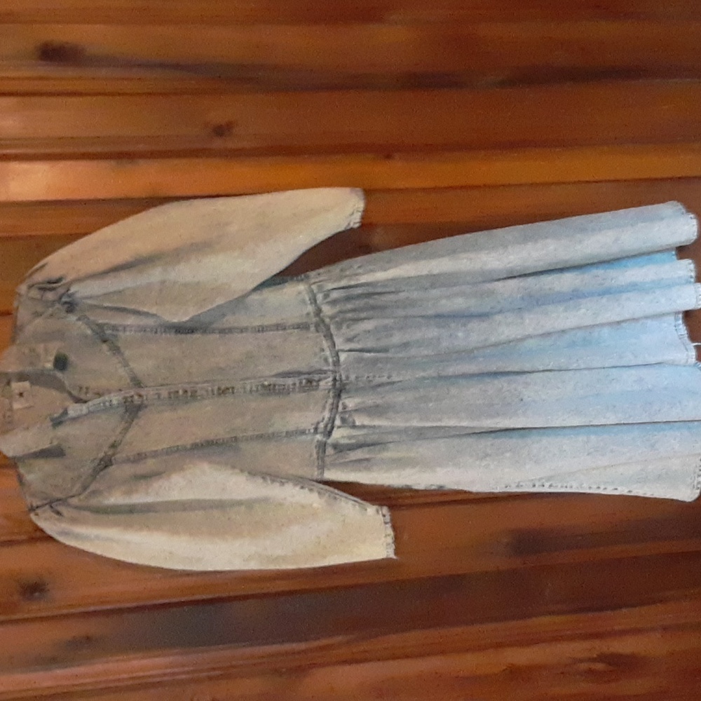 Vintage Denim Dress  Western, Country, Prairie